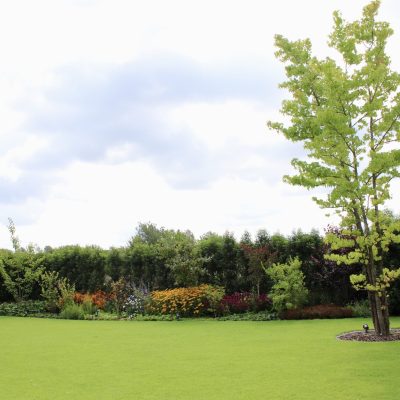 Foto 01.08.25, 11 43 35