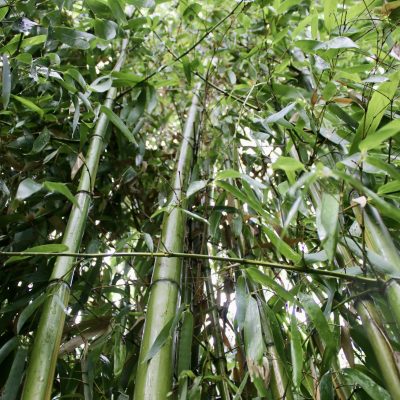 Foto 01.09.25, 10 42 42