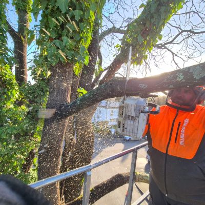 PHOTO-2024-12-04-15-43-50 (3)