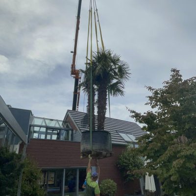 Photo 03.06.22, 11 49 24