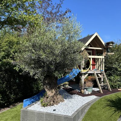 Photo 13.06.24, 11 02 49