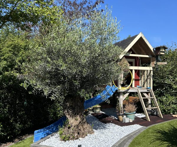 Photo 13.06.24, 11 02 49