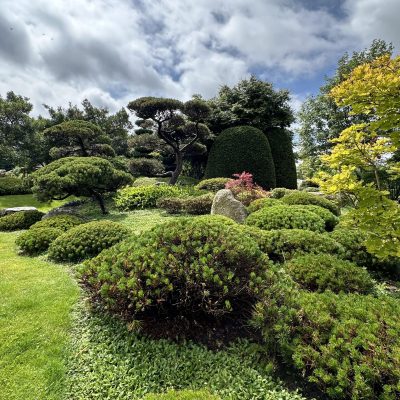 Photo 15.06.24, 11 30 30 (1)