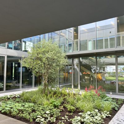 Photo 18.06.24, 09 26 43