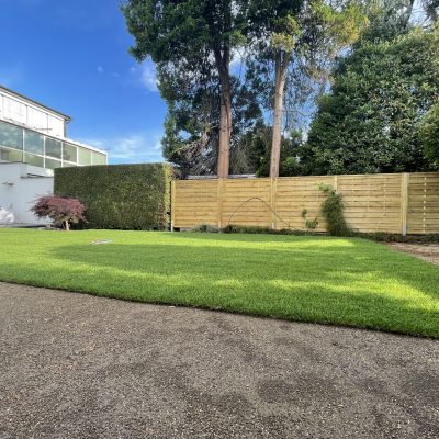 Photo 22.06.22, 08 18 32