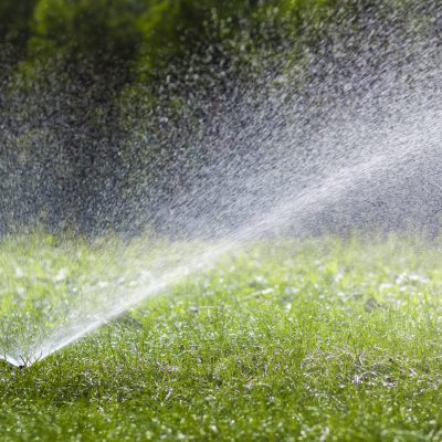 Lawn water sprinkler spraying water over grass in garden on a hot summer day. Automatic watering lawns. Gardening and environment concept.