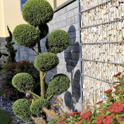 shutterstock_751671778